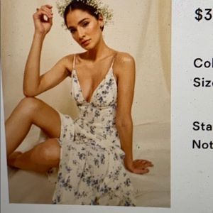 Reformation Blue and white floral maxi dress